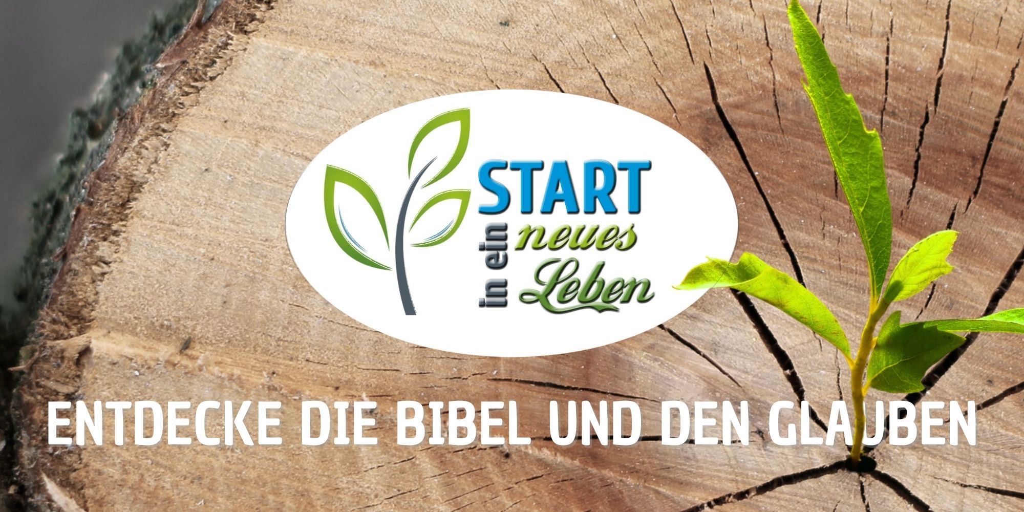 Glaubenskurs "Start in ein neues Leben"